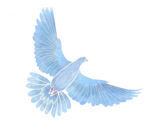 Acuarela de una paloma volando